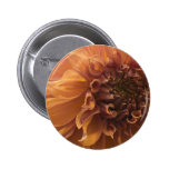Puget Sound Dahlia Association Show 2009 Button