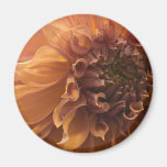 Puget Sound Dahlia Association Show 2009 Refrigerator Magnet