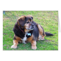 Puggle Blank Inside Card