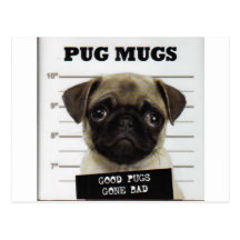 Pugs Postcards