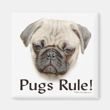 Pugs Rule Fridge Magnet