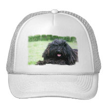 Puli Dog  Baseball Hat