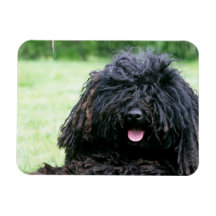 Puli Dog Flexible Magnet