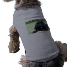 Puli Dog  Pet Shirt