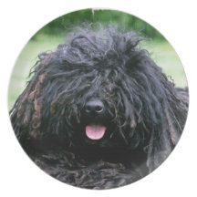 Puli Dog Plate