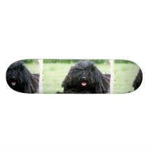 Puli Dog Skateboard