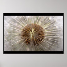 Pulsar Posters