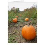 pumpkin patch card