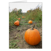 pumpkin patch card