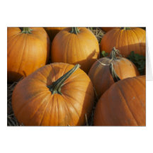 Pumpkin Patch Cards