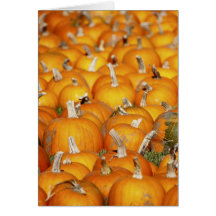 Pumpkin Patch Cards