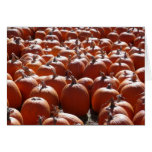 Pumpkin Patch Cards