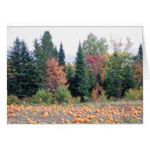 Pumpkin Patch Cards