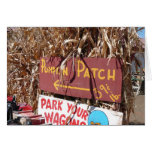 Pumpkin Patch Greeting Cards