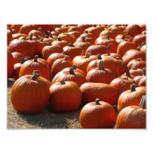 Pumpkin Patch Photo Print