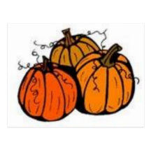 pumpkin patch postcards