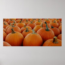 Pumpkin Patch Poster/Print