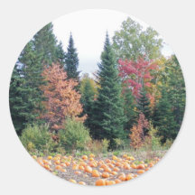 Pumpkin Patch Round Sticker