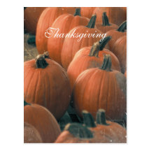 Pumpkin Post Card