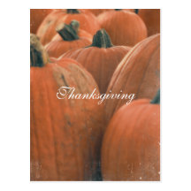 Pumpkin Postcard