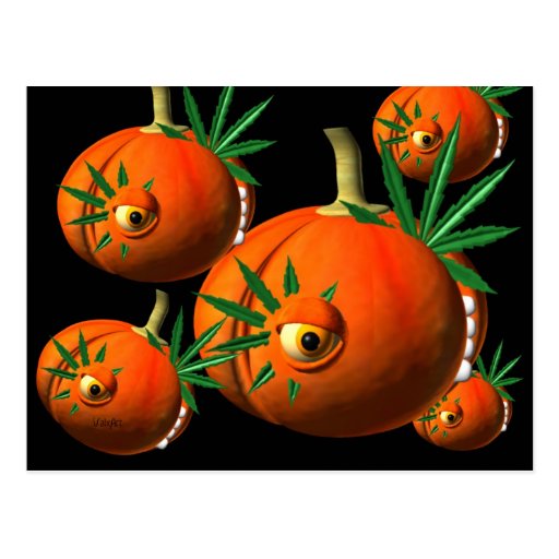 Pumpkins chew on cannabis leaves post card