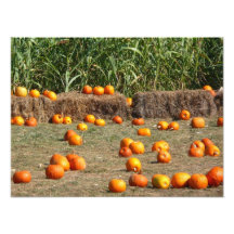 Pumpkins, Corn and Hay Photo Print
