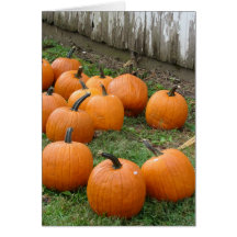 Pumpkins Greeting Cards