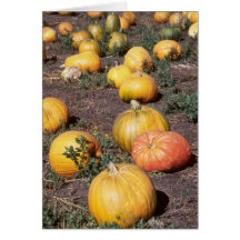 Pumpkins I Card