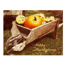 Pumpkins in a wheelbarrel postcard