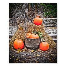 Pumpkins in Quebec Photo Art