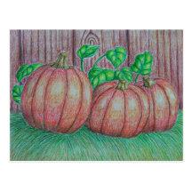 Pumpkins Post Cards