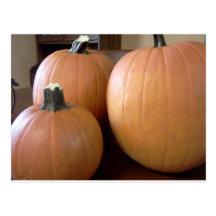 Pumpkins Postcards