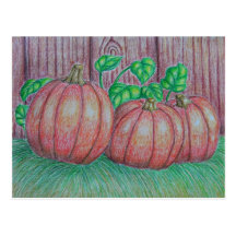 Pumpkins Postcards