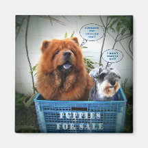 Puppies For Sale Fridge Magnet