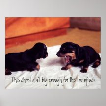 puppies This sheet ain't big enough poster