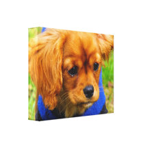 puppy gallery wrap canvas