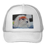 Puppy Punk Trucker Hats