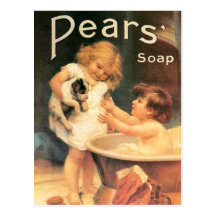 Puppy Taking a Bath Postcards