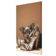 Puppy with damaged shoe canvas print