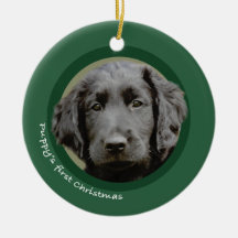 Puppy's First Christmas (Flat-Coated Retriever) Christmas Tree Ornament