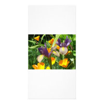 Purpld and orange  flower postcard personalized photo card