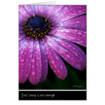 Purple African Daisy, by Anna Wight Greeting Card