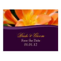 Purple and Orange Save the Date Postcard postcards