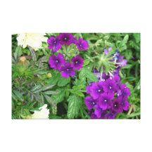 Purple and white contrast gallery wrapped canvas