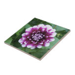 Purple and White Dahlia Tiles