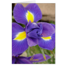 Purple and Yellow Flower for Mum Card