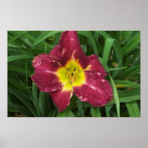 Purple and Yellow Flower Print