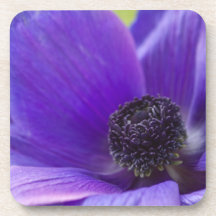 Purple Anemone Flower Cork Coaster