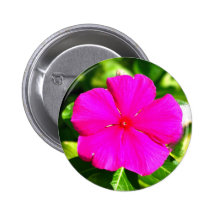 Purple Blossom Pins