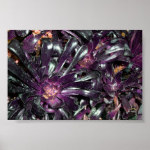 purple blossom poster